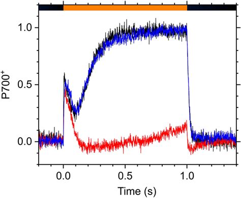 Kinetics Of Oxidized P700 P700⁺ In The Illumination With A Download Scientific Diagram