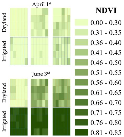 Map Of Average Ndvi Values For Each Genotype Of Each Replication For