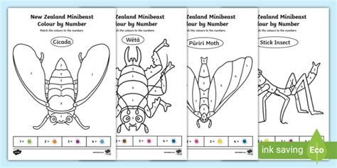 New Zealand Minibeasts Colour By Number Teacher Made