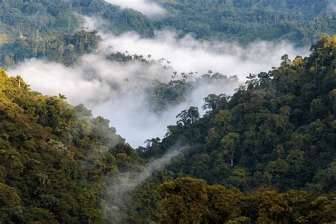 Ecuador Impulsa La Declaratoria De Reserva De Bi Sfera Para El Choc