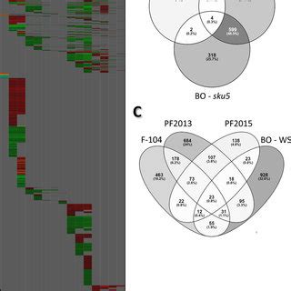 Transcriptomic Comparisons A Heatmap Comparing Degs From Each