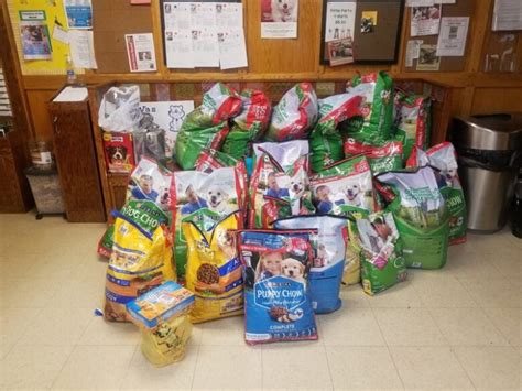 Rescued Animals got a Generous Food Donation the Same Day the Shelter ...