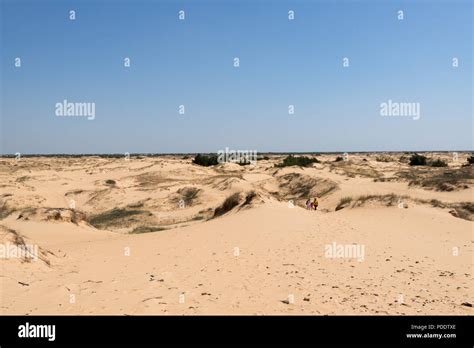 Oleshky Sands, Ukraine Stock Photo - Alamy