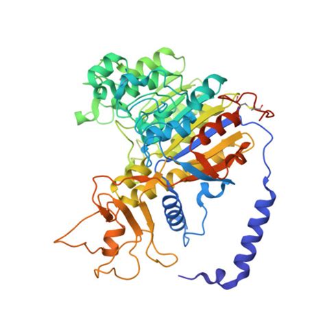 Gene P05187 Protein ALPP Overview CanSAR Ai