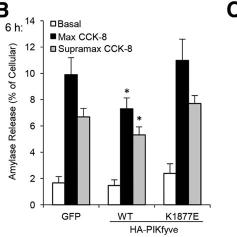 Inhibition Of Phosphatidylinositol Phosphate Kinase Pikfyve