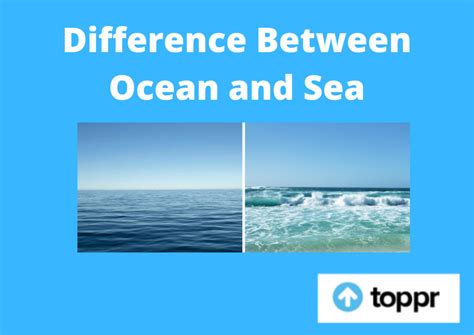 Difference Between Ocean and Sea | Sea vs Ocean Comparison