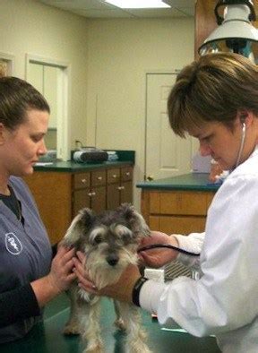 Westside Animal Hospital : Cartersville-Bartow Veterinary Group | Cartersville-Bartow Veterinary ...