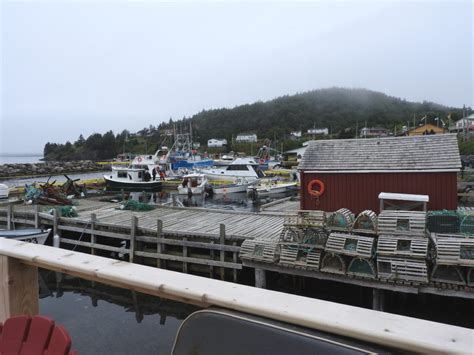 Dildo NL Tourist Information Bob S Newfoundland