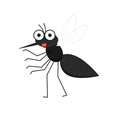 Gnat Clip Art Illustrations Royalty Free Vector Graphics And Clip Art