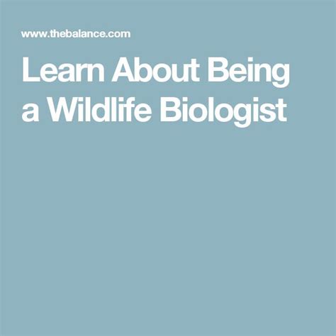 Wildlife Biologist Job Description: Salary, Skills, & More | Wildlife ...