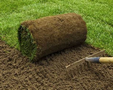 Turf Laying Sydney Prime Landscaping Solutions