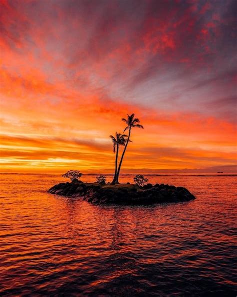 Premium Photo Silhouette Tree By Sea Against Romantic Sky At Sunset