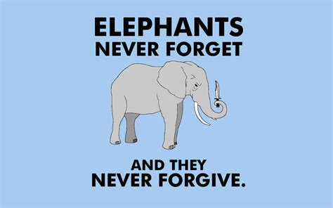 Elephants Never Forget And They Never Forgive Funny Quotes Elephants