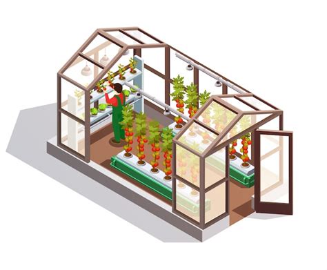 Free Vector Isometric Greenhouse With Glass Walls