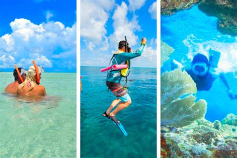 9 Best Key West Snorkeling Tours in 2023 (ranked!)