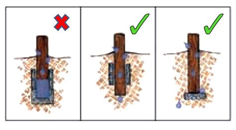 How To Plant A Pole