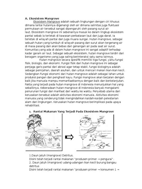 Pdf Ekosistem Mangrove Docx Dokumen Tips