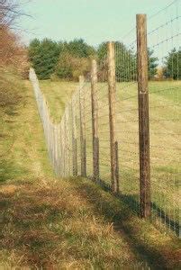 Deer Fence Installation & Design in Harrisburg, PA & Surrounding Areas