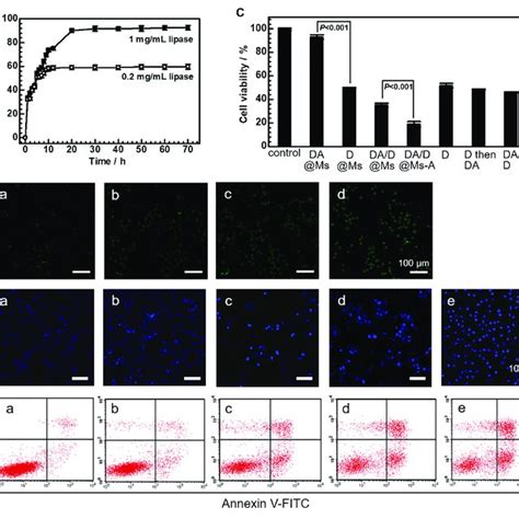 In Vitro Cytotoxicity A The Release Profiles Of Dox From D Ms In