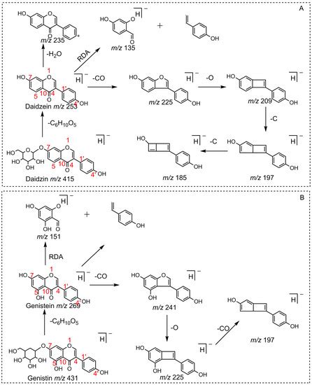 Molecules Free Full Text Rapid Screening And Identification Of