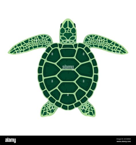 Ilustración del vector de la tortuga marina Aislado sobre fondo blanco