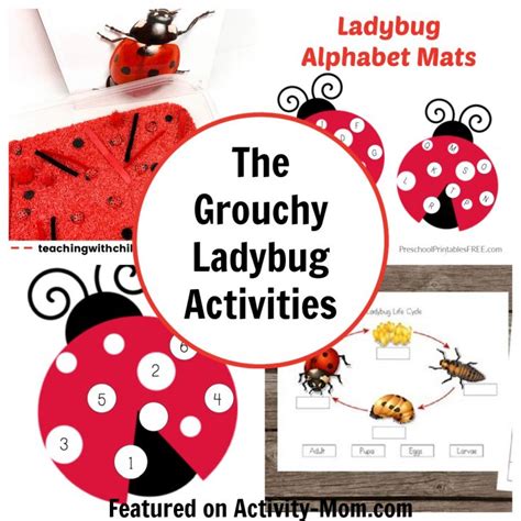 The Grouchy Ladybug Activities and Crafts - The Activity Mom