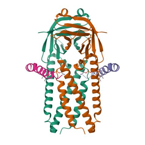 Rcsb Pdb 8eqs Structure Of Sars Cov 1 Orf3a In Late Endosome