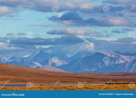 Polar tundra stock image. Image of scenery, alaska, permafrost - 263120489