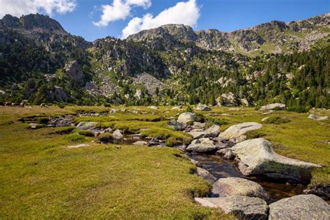 La montagne en été le cadre parfait pour organiser un séminaire Beez