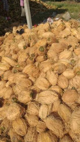 A Grade Solid Semi Husked Coconut Packaging Size 20 Kg Coconut Size