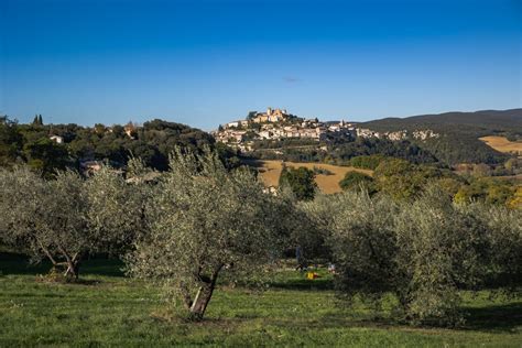 Nasce Il Distretto Del Cibo Amerino Tipico Terni In Rete