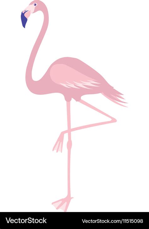 Flamingo Royalty Free Vector Image Vectorstock