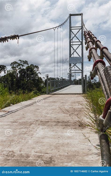 Bridge Over the River in the Amazon, Metal Structure, Large Bridges Stock Photo - Image of ...