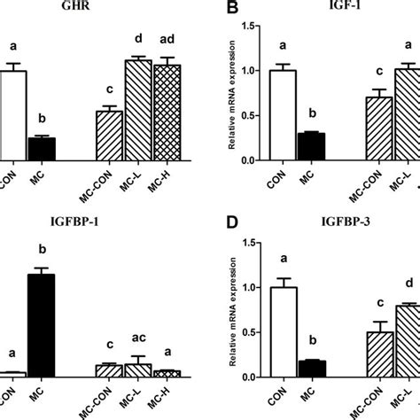 Serum Levels Of Gh Igf 1 Igfbp 1 And Igfbp 3 Gh A Igf 1 B Download Scientific Diagram