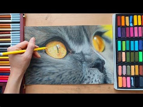 Chat aux pastels secs dessiner un œil de chat YouTube Yeux dessin