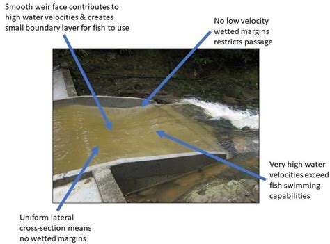 A weir with key features unsuitable for fish passage identified. | Download Scientific Diagram