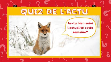 Quiz De Lactu Poubelles Soccer Et Fruits Politiques Articles