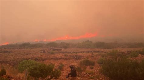 Video Waldbrand in Südafrika STERN de