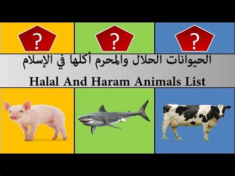 الأكل المحرم والحلال في الإسلام Halal and Haram Foods YouTube