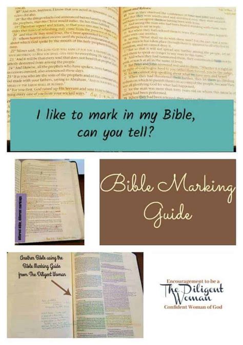 Bible Marking Collage The Diligent Woman