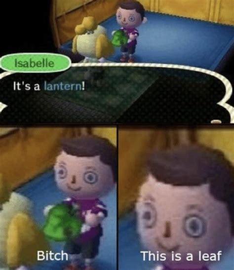Posting The Og Acnl Memes To Make You Smile Ranimalcrossing