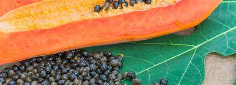 Papaya Seed Benefits And Its Side Effects Lybrate