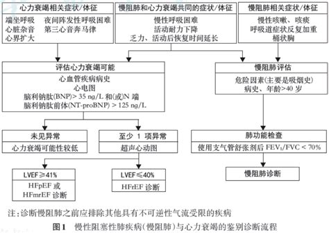 【诊疗方案】慢性阻塞性肺疾病合并心血管疾病诊治管理专家共识患者心力衰竭研究