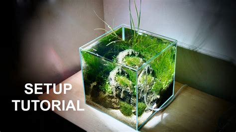 Ada C Iwagumi Style Aquascape Setup Tutorial With Scape It Youtube