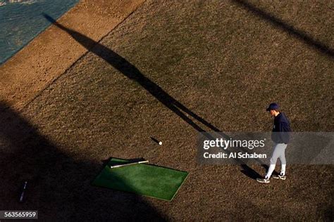 92 Irvine Anteater Stock Photos High Res Pictures And Images Getty