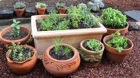 Planting a Small Herb Garden - Best Garden Ideas