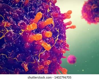 143 Morbillivirus Images, Stock Photos & Vectors | Shutterstock