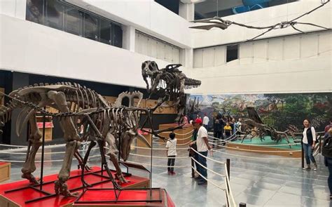 Dinosaurios Entre Nosotros Conoce La Nueva Expo En El Universum