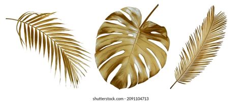 Tropical Leaves Gold Color On White Stock Photo Shutterstock