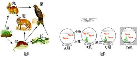 江苏省盐城市2018年中考生物试卷 组卷在线题库